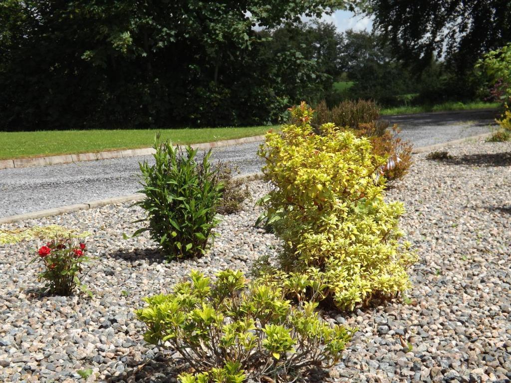 The Laurels Bed & Breakfast Lodge Omagh Exterior foto